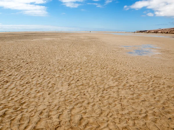 Παραλία playa de sotavento, καναρίνι νησί Φουερτεβεντούρα — Φωτογραφία Αρχείου