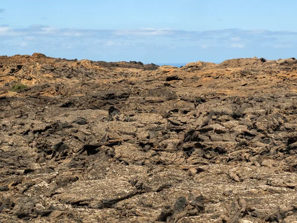 Timanfaya National Park in Lanzarote, Canary Islands, — Stock Photo, Image