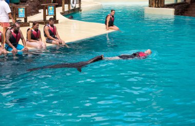  Deniz Aslanları Havuzu,, Oasis Park, Fuerteventura, Kanarya Adaları, İspanya gösterir