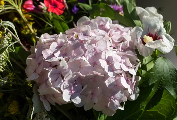 Handgjorda vackra Buketter av blommor och örter — Stockfoto