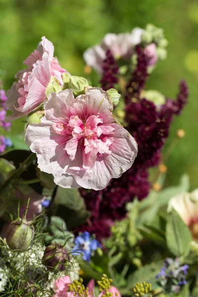 Handgjorda vackra Buketter av blommor och örter — Stockfoto