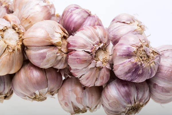 Sträng vitlök isolerad på vit bakgrund — Stockfoto