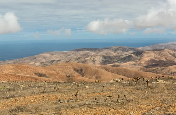 Volcanic Lanscape. Panoramic view  on  Fuerteventura from Mirador Morro Velosa, Fuerteventura, Canary Island, Spain — Stock Photo, Image