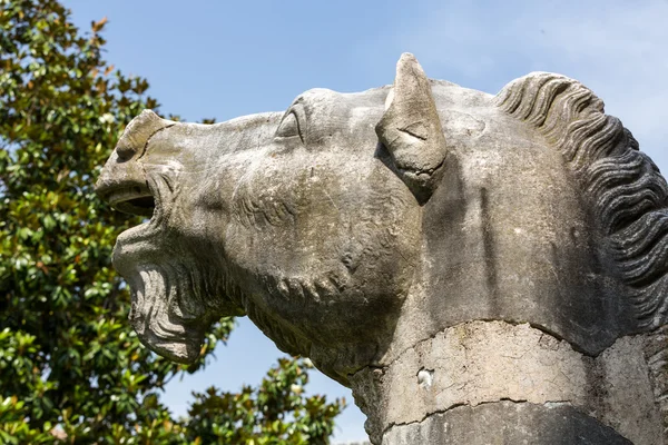 古马雕像在戴克里 (Thermae Diocletiani) 在罗马的浴池。意大利 — 图库照片