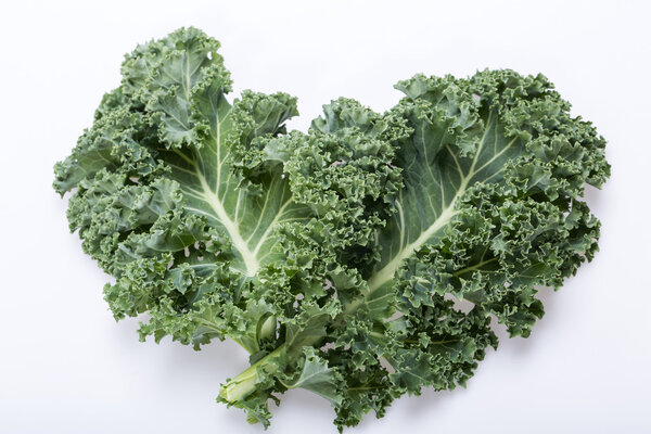 A healthy fresh curly kale