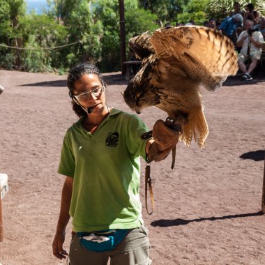 Yırtıcı Kuş gösterisi, Oasis Park, Fuerteventura, Kanarya Adaları, İspanya
