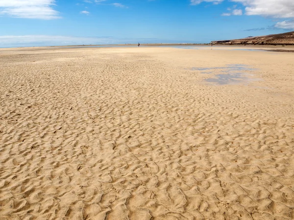 Παραλία playa de sotavento, καναρίνι νησί Φουερτεβεντούρα, Ισπανία — Φωτογραφία Αρχείου