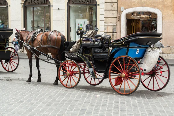 Koń kabiny czeka na klientów na placu Piazza di Spagna. Rzym. Włochy — Zdjęcie stockowe