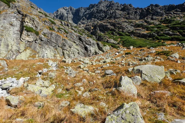 Great Cold Valley Hoge Tatra Slowakije Great Cold Valley Lang — Stockfoto