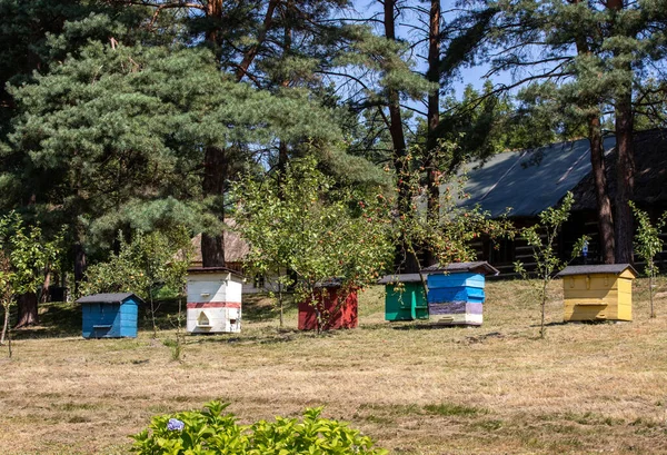 Ein Bienenhaus Mit Alten Bienenstöcken Einem Ländlichen Garten — Stockfoto