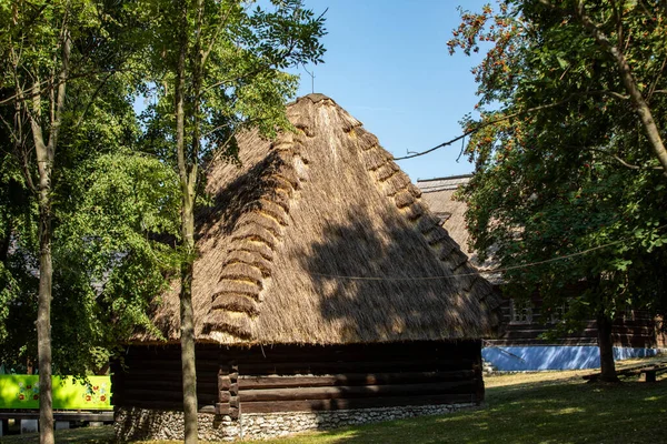 Wygiezlow Polska Sierpnia 2020 Drewniany Wiejski Domek Xix Wieku Parku — Zdjęcie stockowe