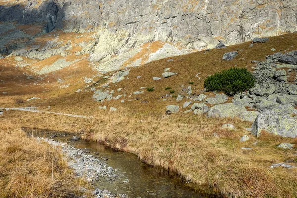 Vijver Valley Five Spis Meren Omgeven Door Rotsachtige Toppen Hoge — Stockfoto