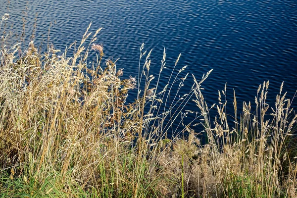 Naturlandschaft Mit Wunderschönem See Der Slowakischen Tatra Strbske Pleso — Stockfoto