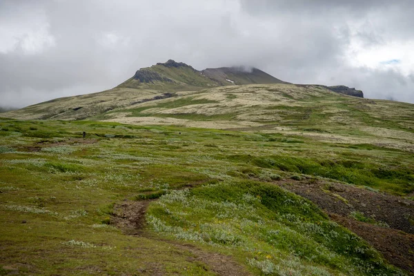 冰岛高地覆盖着苔藓的宏伟的火山景观 — 图库照片