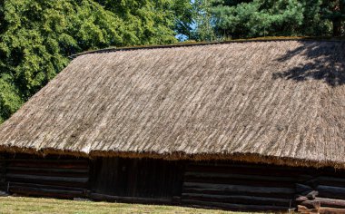 Wygiezlow, Polonya - 14 Ağustos 2020: 18. yüzyıldan kalma zengin bir soylu ailenin malikânesi. Malikane Wygiezw 'deki açık hava müzesine taşındı. Polonya.