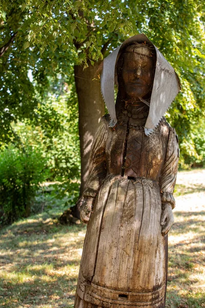 Vecchi Alveari Fatti Tronchi Alberi Spessi — Foto Stock