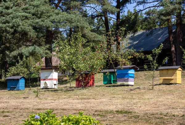 Ein Bienenhaus Mit Alten Bienenstöcken Einem Ländlichen Garten — Stockfoto