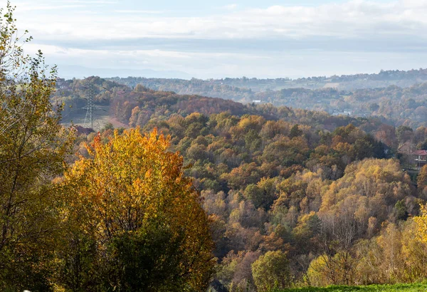 Trees Golden Autumn Foliage Sunny Day Colorful Autumn Landscape — Stock Photo, Image