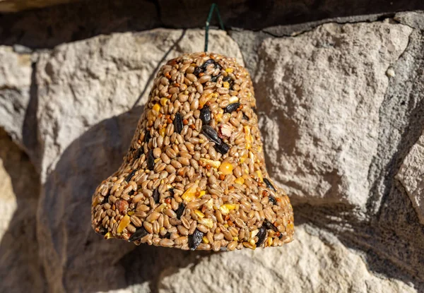 さまざまな穀物の鐘 庭のすべての鳥の珍味 — ストック写真
