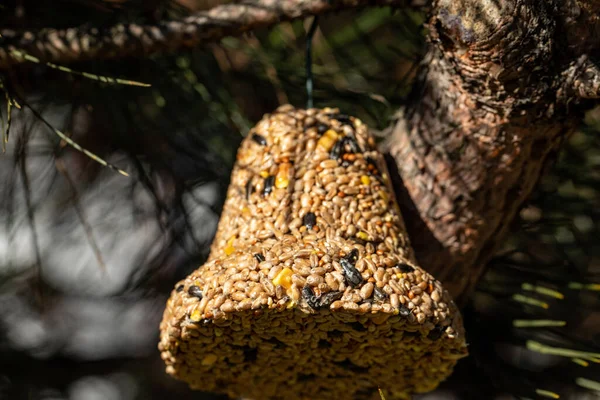 Campana Varios Granos Manjar Para Todas Las Aves Del Jardín — Foto de Stock