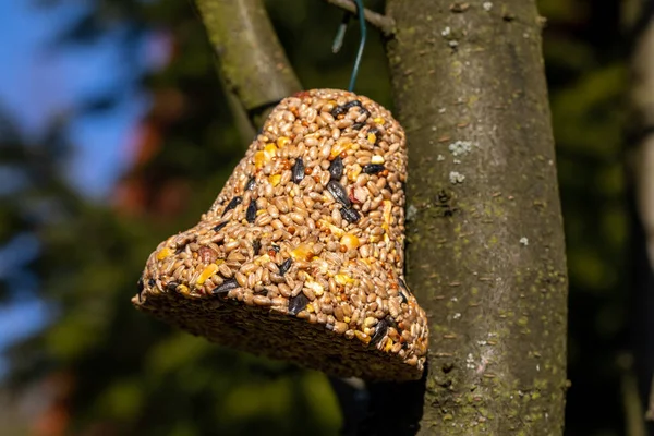 Sino Vários Grãos Uma Iguaria Para Todos Pássaros Jardim — Fotografia de Stock