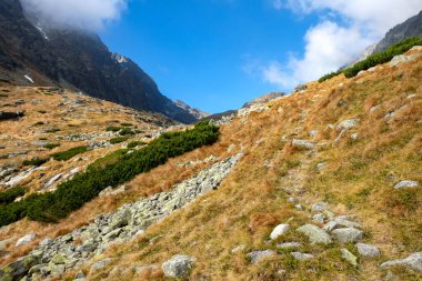 Slovakya 'nın High Tatras kentindeki Büyük Soğuk Vadi. Büyük Soğuk Vadi 7 km uzunluğundadır ve turistler için çok çekicidir.