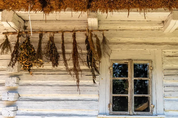 Erbe Medicinali Essiccate Appese Alla Parete Cottage Campagna — Foto Stock