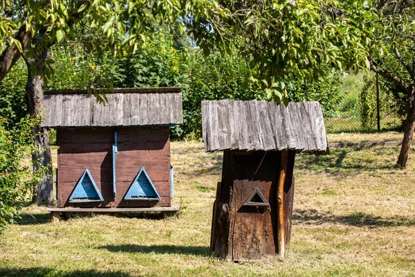 Apiario Con Vecchi Alveari Legno Giardino Rurale — Foto Stock