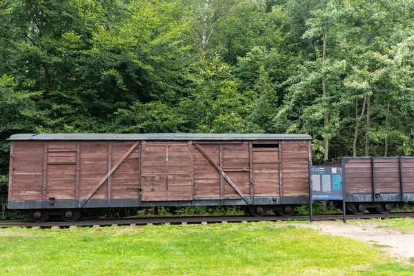 Sztutowo Polônia Setembro 2020 Vagões Ferrovia Bitola Estreita Para Antigo — Fotografia de Stock