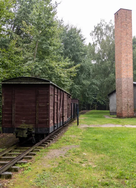 Sztutowo Polonia Septiembre 2020 Vagones Del Ferrocarril Vía Estrecha Para —  Fotos de Stock