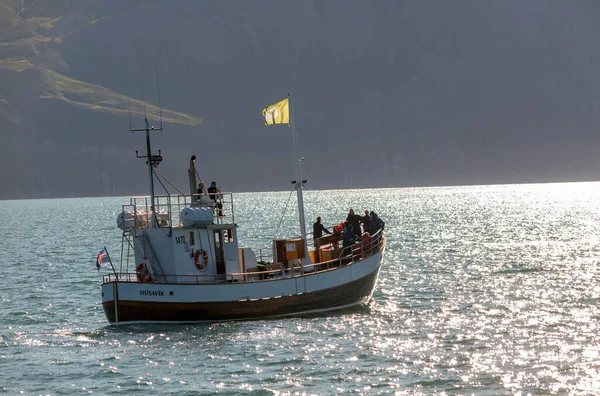 Husavik Island Července 2017 Velrybí Pozorovací Člun Cestujícími Kteří Vyplouvají — Stock fotografie