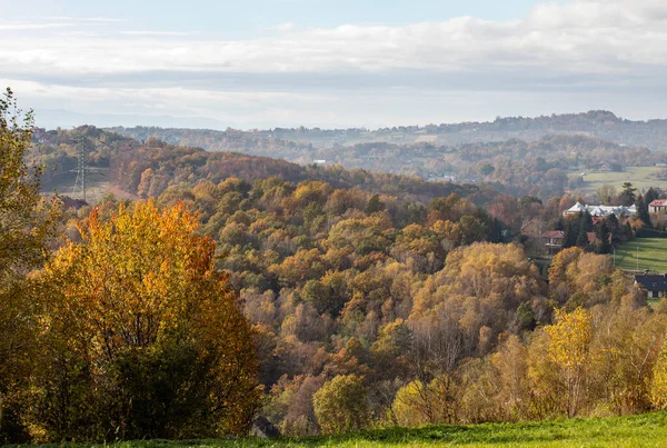 Trees Golden Autumn Foliage Sunny Day Colorful Autumn Landscape — Stock Photo, Image