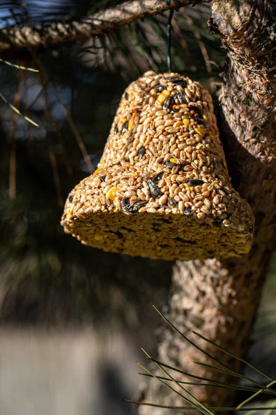 Çeşitli Tohumlardan Çanlar Bahçedeki Tüm Kuşlar Için Bir Lezzet — Stok fotoğraf
