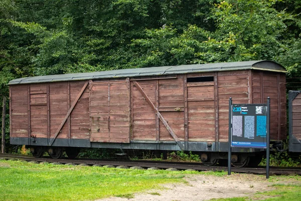 Sztutowo Polonia Septiembre 2020 Vagones Del Ferrocarril Vía Estrecha Para —  Fotos de Stock