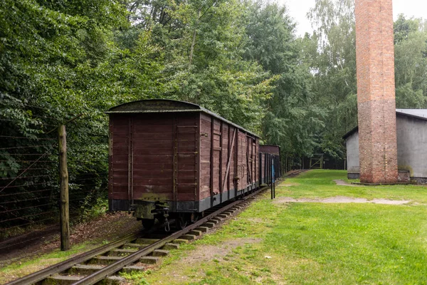 Sztutowo Polen September 2020 Wagen Der Schmalspurbahn Für Das Ehemalige — Stockfoto
