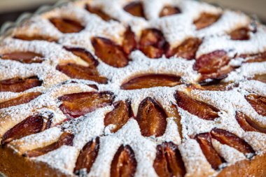 Üzerine pudra şekeri serpiştirilmiş lezzetli erikli kek.