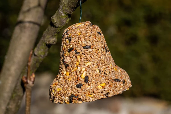 Campana Varios Granos Manjar Para Todas Las Aves Del Jardín — Foto de Stock