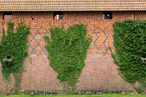 Castelo Malbork Antigo Castelo Marienburg Sede Grão Mestre Dos Cavaleiros — Fotografia de Stock