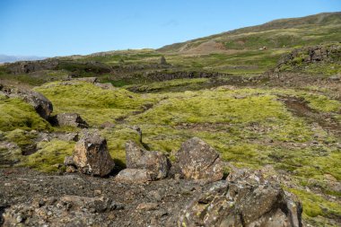 İzlanda dağlıklarında yosunlarla kaplı görkemli volkanik manzara