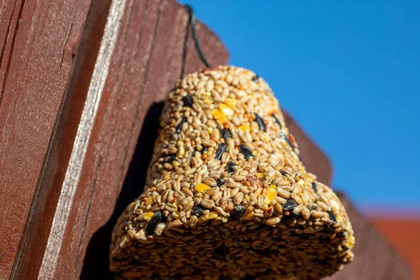 Campana Varios Granos Manjar Para Todas Las Aves Del Jardín — Foto de Stock