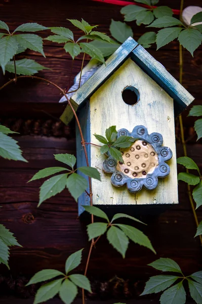 Ancienne Maison Oiseaux Décorative Colorée Bois — Photo