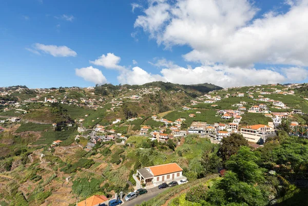 Madeira Şarap Şirketi Nin Üzüm Bağları Estreito Camara Lobos Madeira — Stok fotoğraf