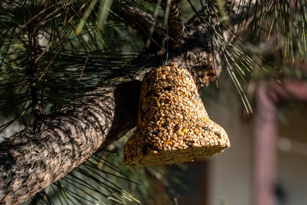 Campana Varios Granos Manjar Para Todas Las Aves Del Jardín — Foto de Stock