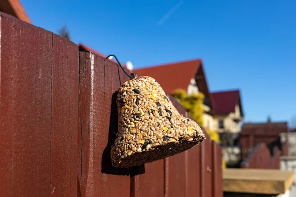 Campana Varios Granos Manjar Para Todas Las Aves Del Jardín — Foto de Stock