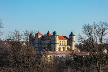Nowy Wisnicz 'deki eski ortaçağ kalesi. Polonya