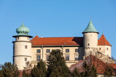 Nowy Wisnicz 'deki eski ortaçağ kalesi. Polonya