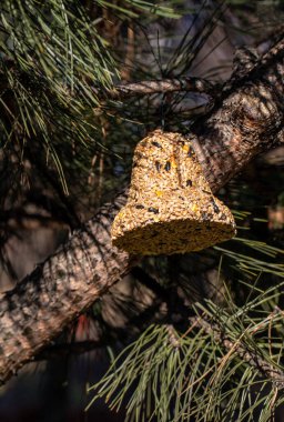 Çeşitli tohumlardan çanlar, bahçedeki tüm kuşlar için bir lezzet.