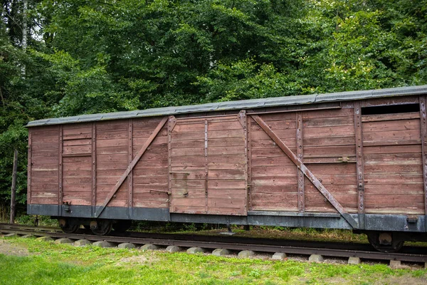 Sztutowo Poland Sept 2020 Wagons Narrow Gauge Railway Charateristic Former — Stock Photo, Image