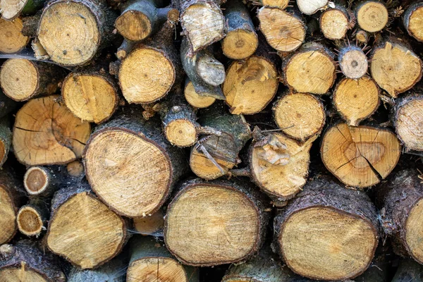 Stack Firewood Prepared Winter Stock Photo