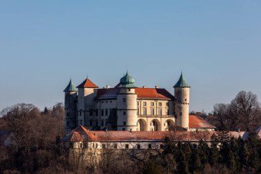 Nowy Wisnicz 'deki eski ortaçağ kalesi. Polonya